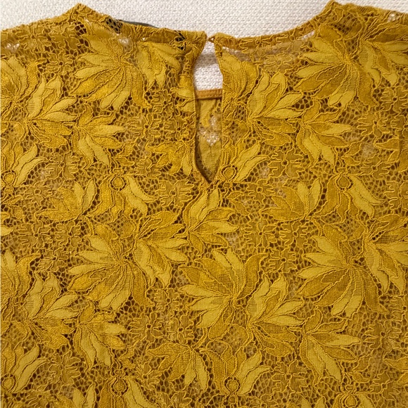 Zara Womens Mustard Lace Crop Top - Three-Quarter Sleeve Size XL - Picture 7 of 11